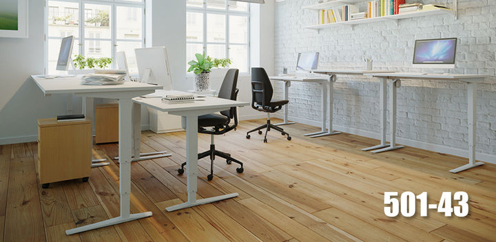 A modern office with five Conset 501-43 Electric Adjustable Desks from Home Office Space NZ, each paired with ergonomic office chairs. The room is enhanced by wooden flooring, white walls, and large windows that let natural light flood the space. Desks are adorned with various office supplies and plants. "Conset 501-43" is displayed in the corner.